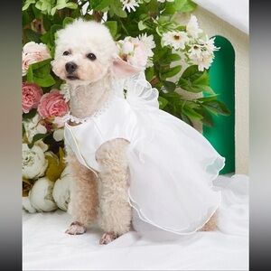 Dog Wedding Dress
